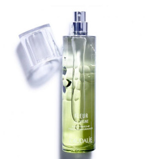 Caudalíe Agua Refrescante de Pomelo, Mandarina y Cedro 50ml.